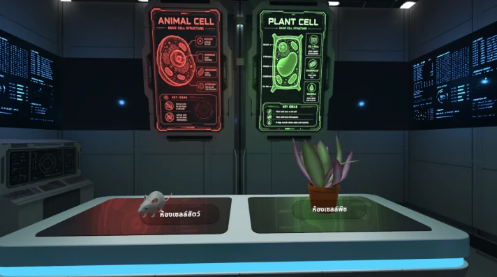 Cell Structure