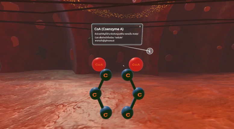 Cellular Respiration